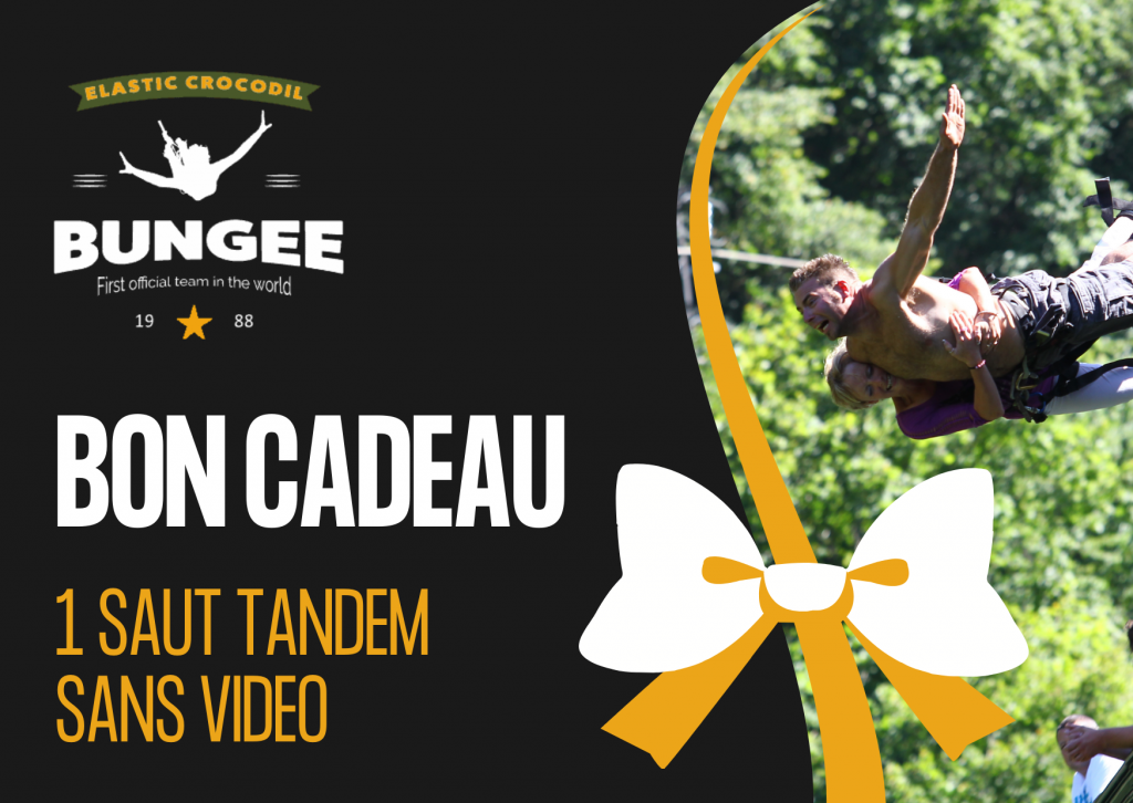 bon cadeau saut à l'élastique tandem