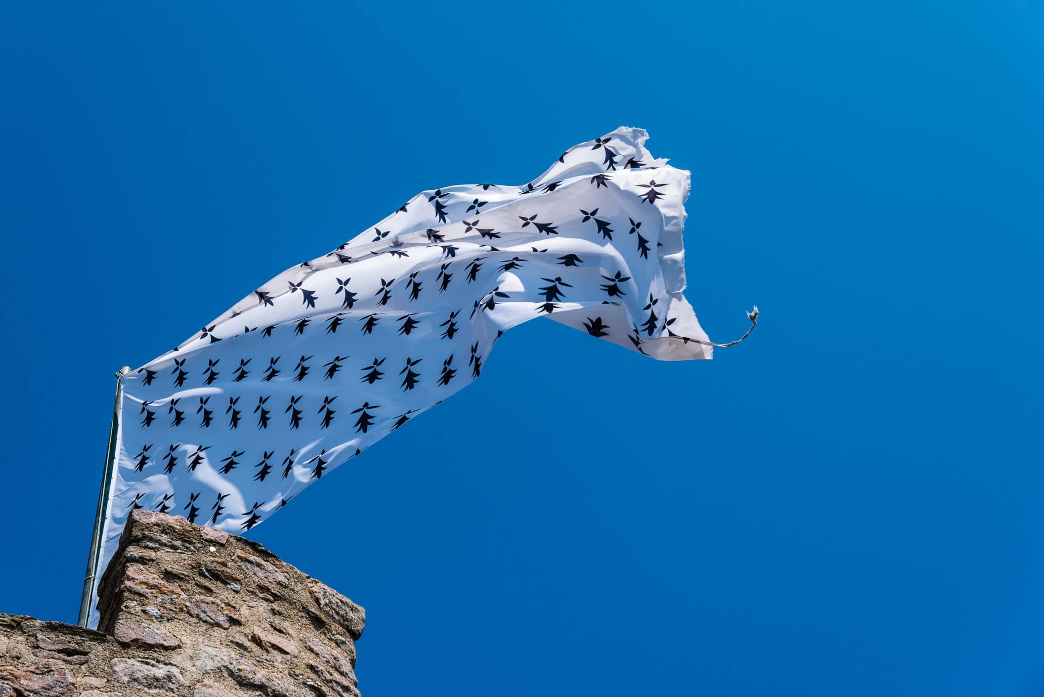 saut à l'élastique bretagne saut à l'élastique bretagne 29 saut à l'élastique en bretagne